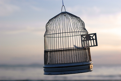 We escaped like a bird from a hunter's trap.&nbsp; The trap is broken and we are free.Psalm124:7